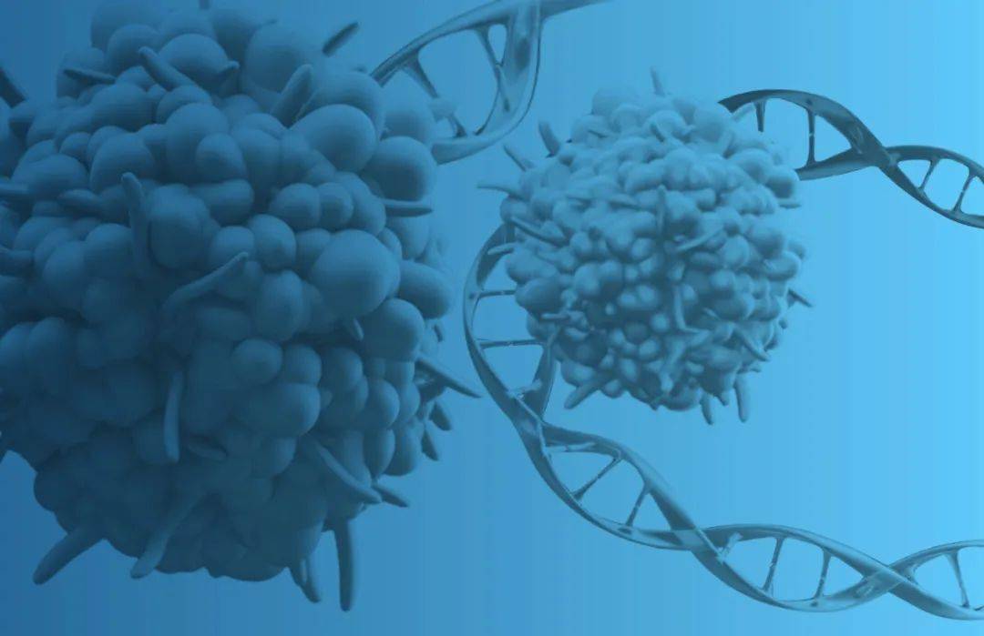 宫颈癌首个创新药iii期临床获重大进展 全球首款dna药物上市在即