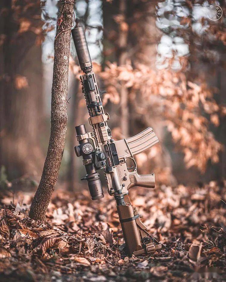 【枪械美图】那些看不尽的婀娜多姿 风姿卓绝