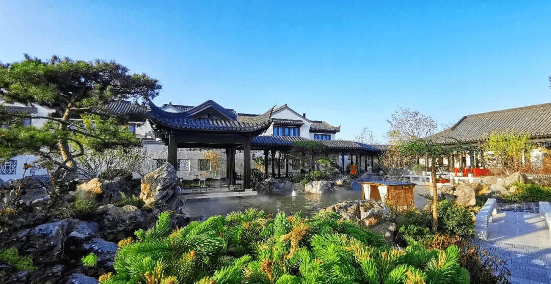 绿城61桃李春风1000张电影票免费送!_银川