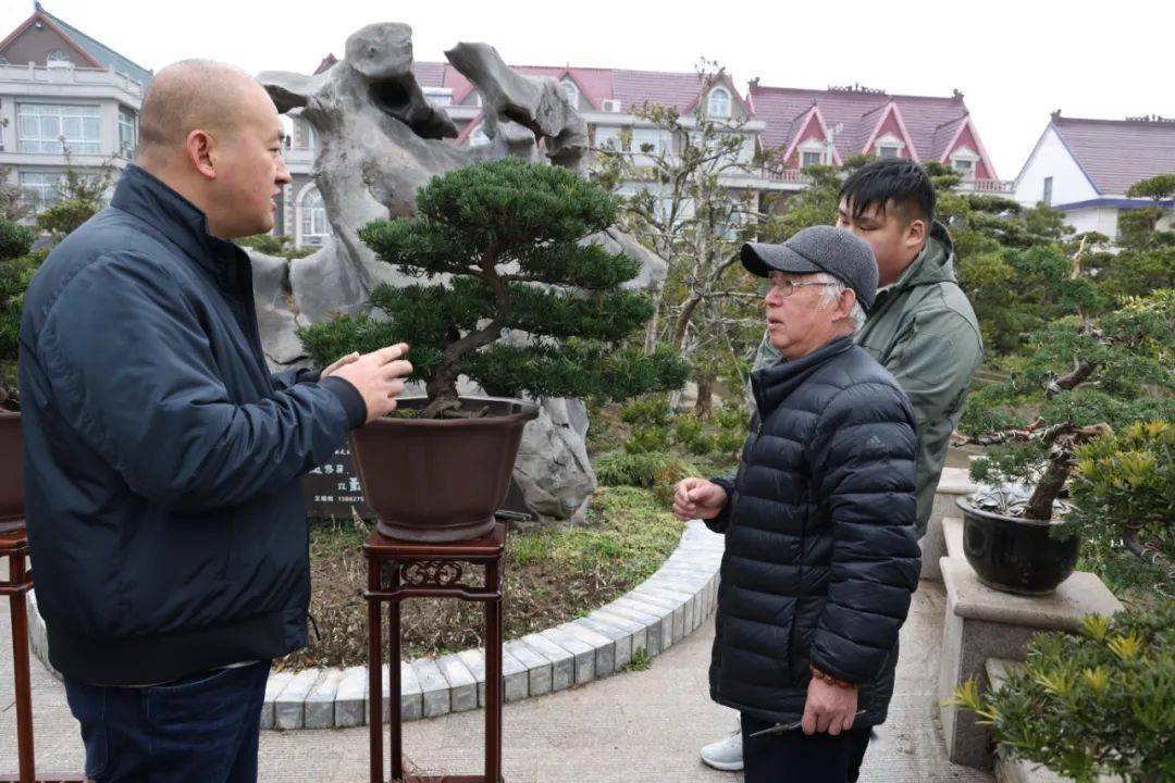 王如生中國盆景藝術家協會副會長,如皋市盆景協會副理事長,中國盆景