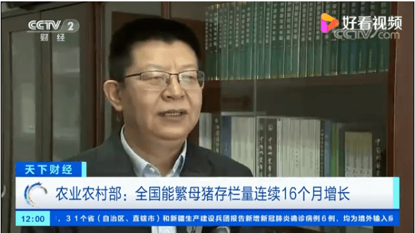农业部:非瘟常态化防控仍是重点_农村部