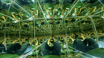 把整间屋子挂满镜子之后精神污染的源头竟是我自己