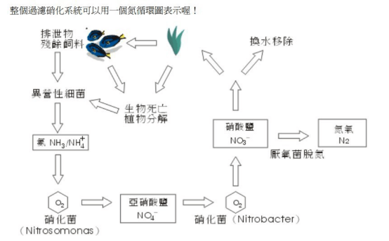 ba9cf02b506145368c00178771561943.png