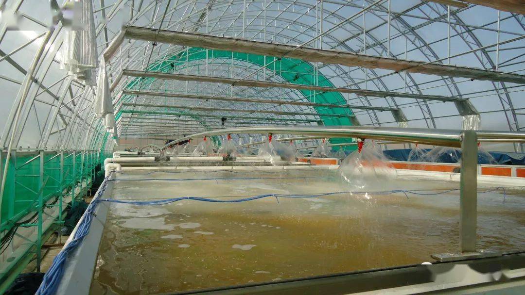 黑龙江今年水稻催芽补贴政策出台_浸种