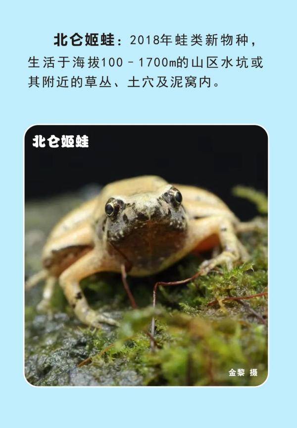 浙江新增一批国家一级二级保护动物,你能叫出它们的名字吗?