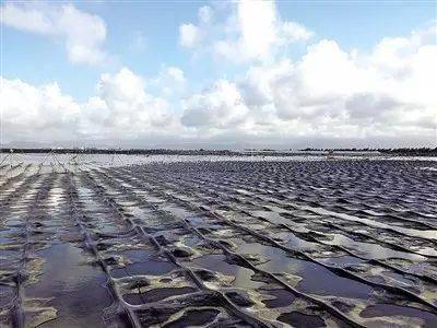 软土地基的工程特性及处理方法整的明明白白的