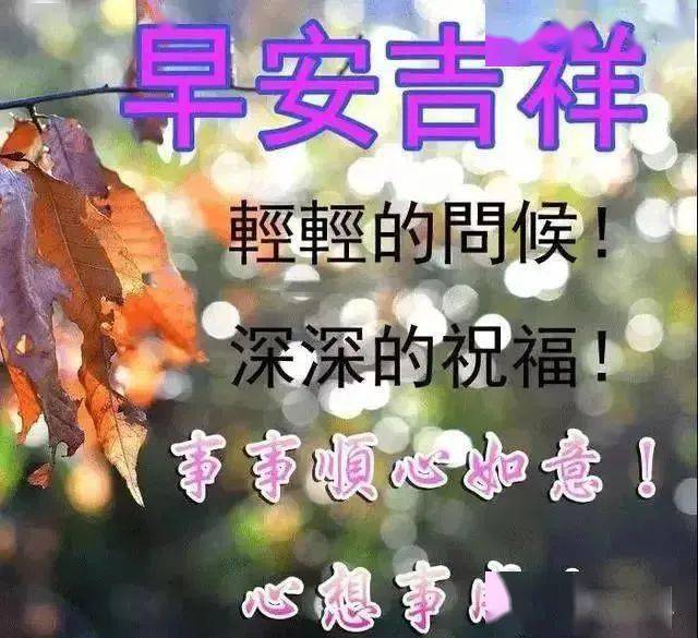 早安的語句老婆早上好圖片帶字