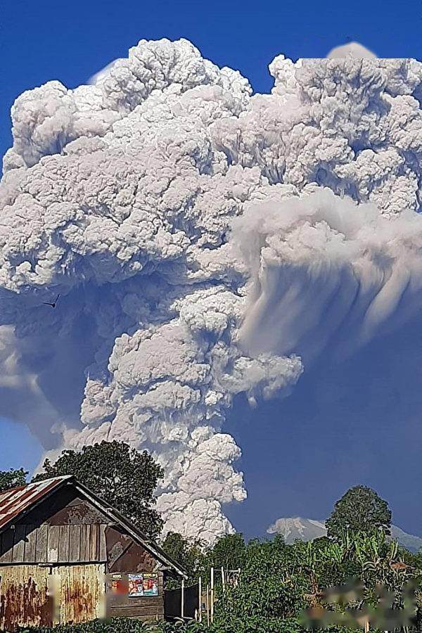 至于物种灭绝,锡纳朋火山所在的苏门答腊岛上有另一个例子,这就是多巴