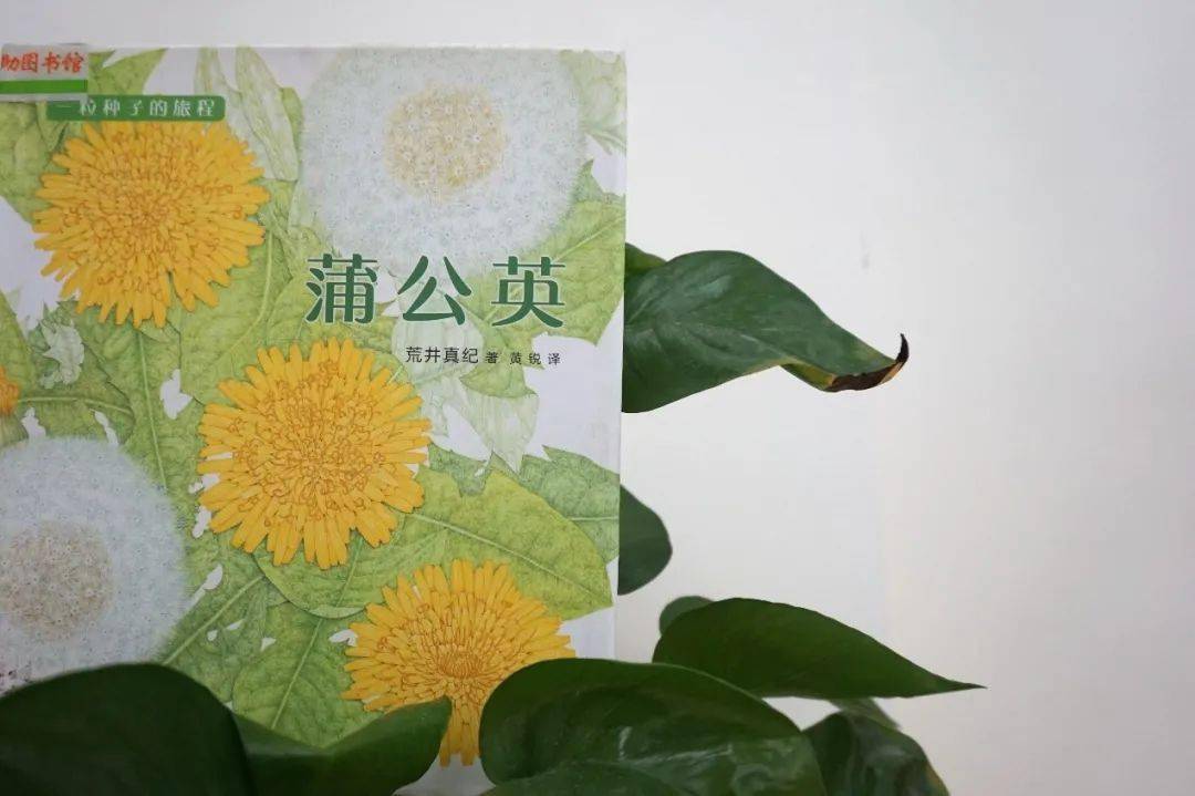 悦读3月主题书展