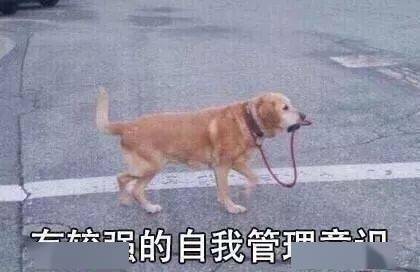 成為了我家的貓，你這輩子過得開心嗎？ 萌趣萌寵 第5张