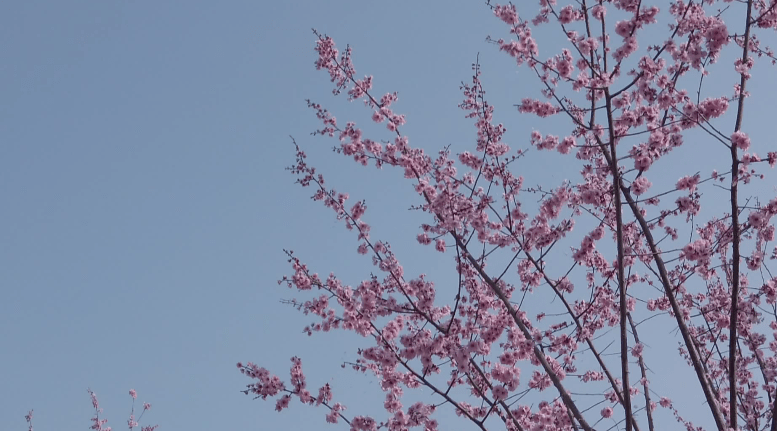 b066cb610cd94f5a978051a3acebf4e9.png