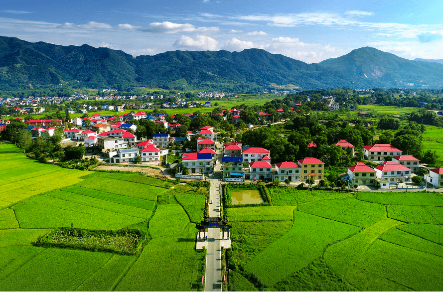 央视现场直播萍乡奏响春耕进行曲