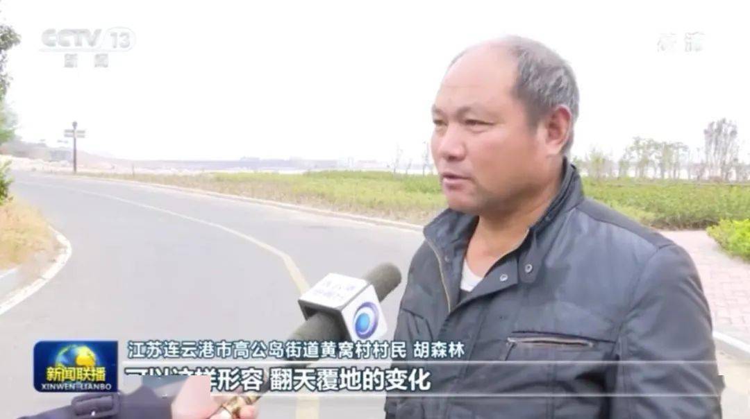 连云港这个村支书登上央视《新闻联播》