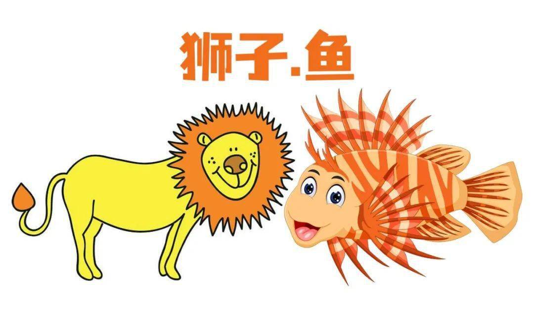 狮子鱼为什么要吃同类?