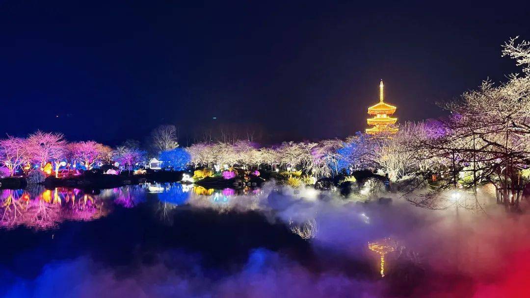 武大开通赏樱预约!(附预约通道)_樱花