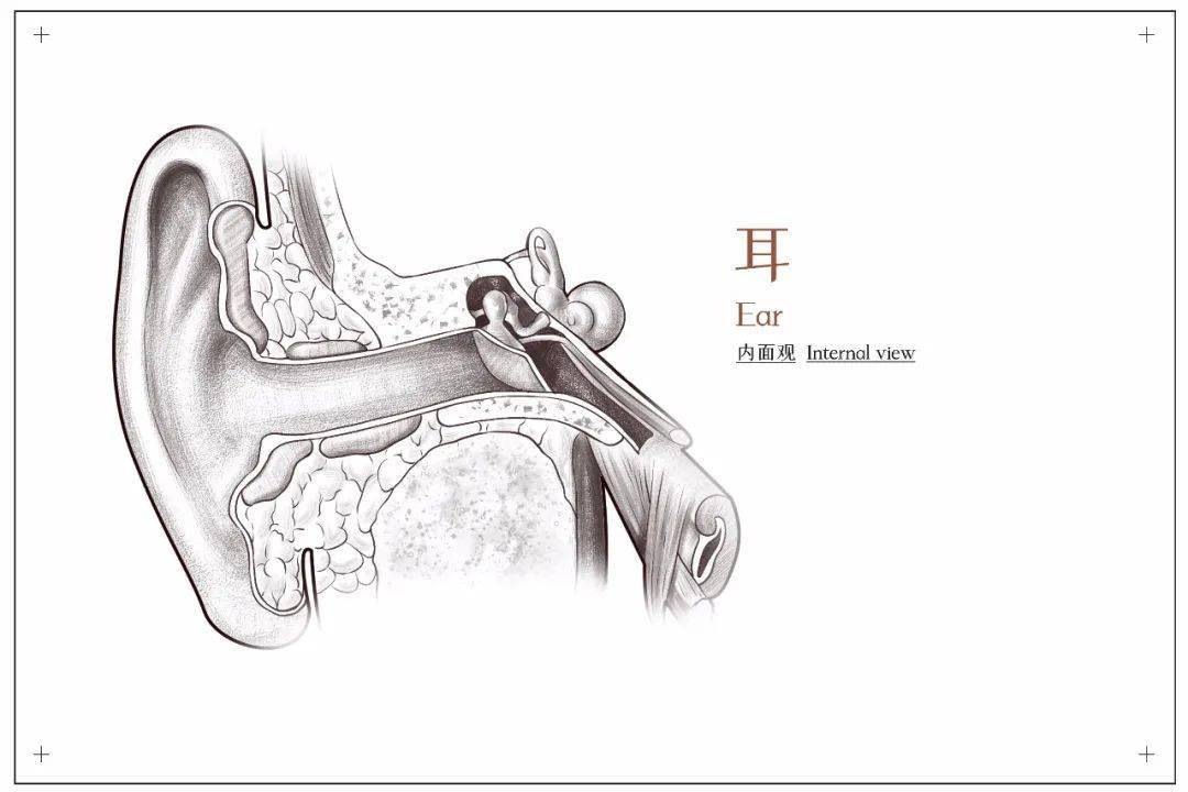 爱耳日人人享有听力健康