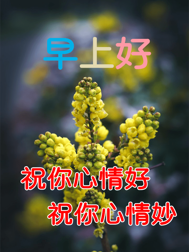 3月4日最漂亮早上好动态表情图片大全早晨好动图美图大全
