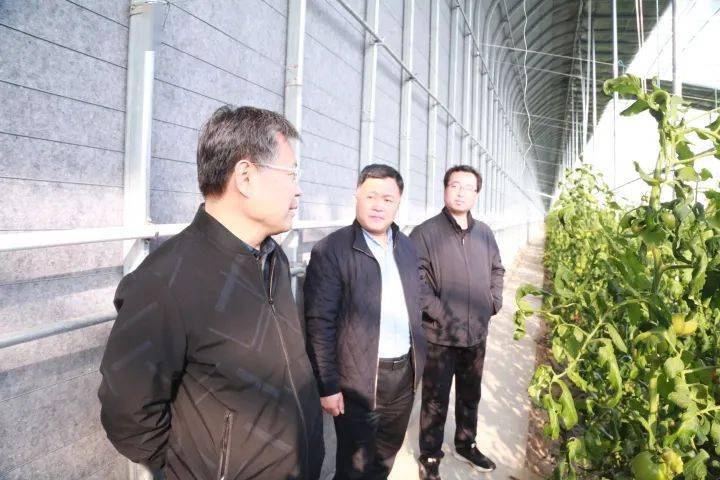 基础工作给予充分肯定,同时,为河口今后农业发展提出了宝贵的意见建议