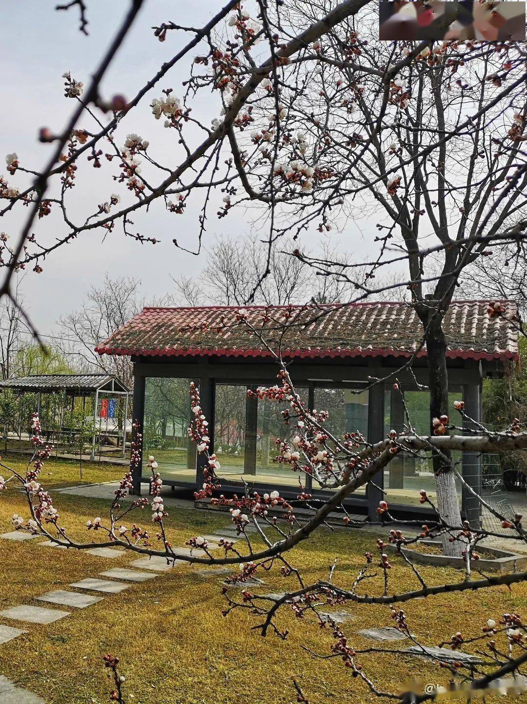 932路195路浐灞旅游1号线浐灞7号线全运二号线公交车至世博园得宝