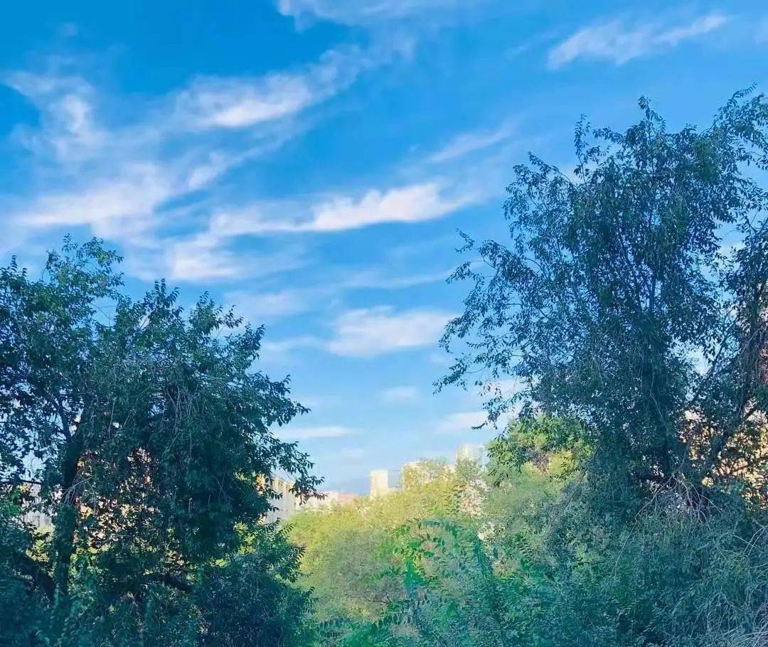 今日微风正好有春的温柔