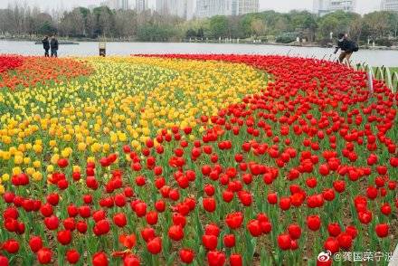 宁波鄞州公园：踏青赏花 尽享春光