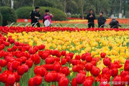 宁波鄞州公园：踏青赏花 尽享春光