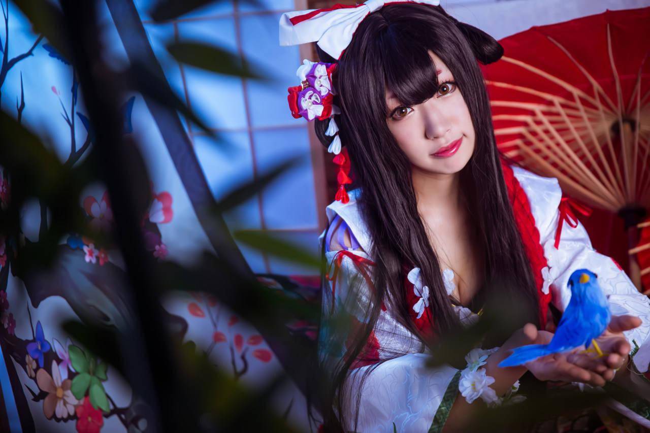阴阳师花鸟卷cosplay