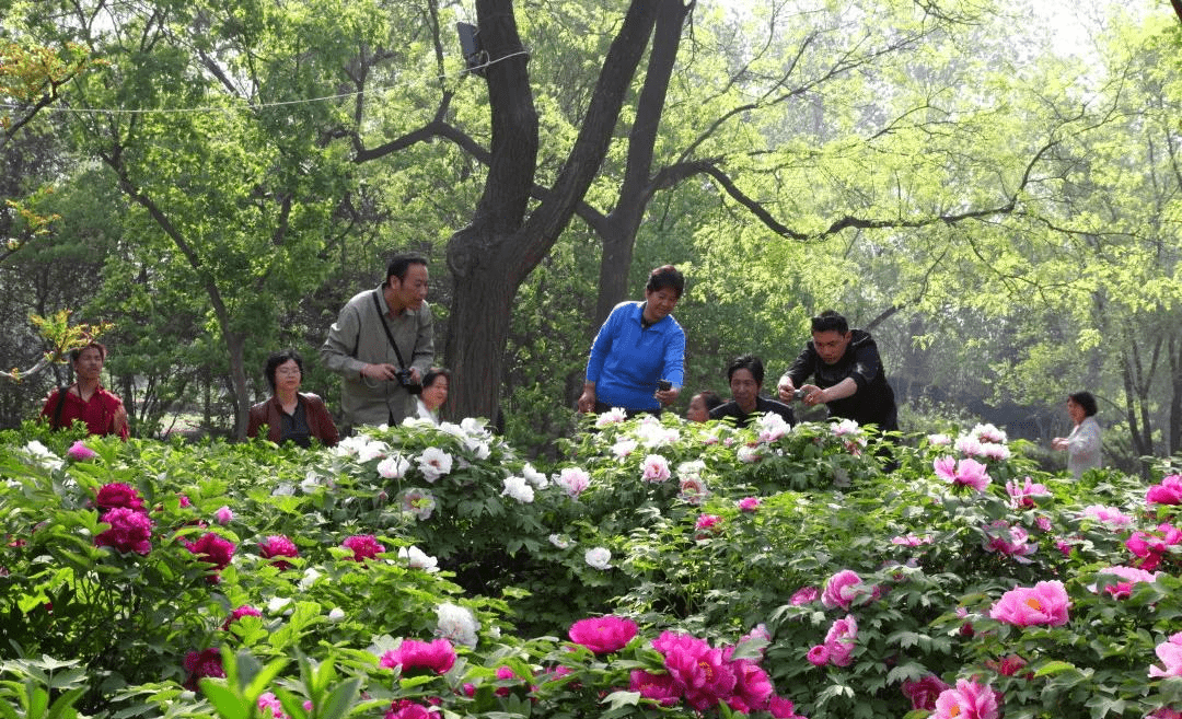 观花简谱_下楼二人转谱 王美蓉观花 唱段 戏曲曲谱 中国曲谱网(3)