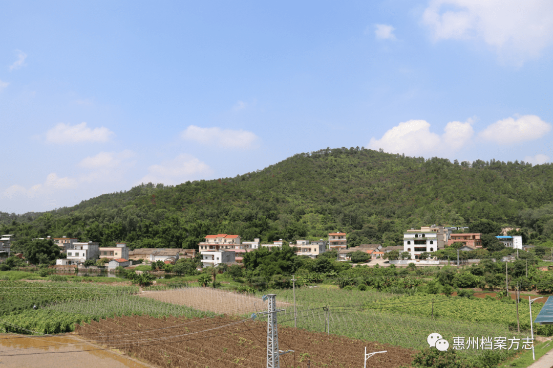姚村人口_林州姚村下里街图片(3)