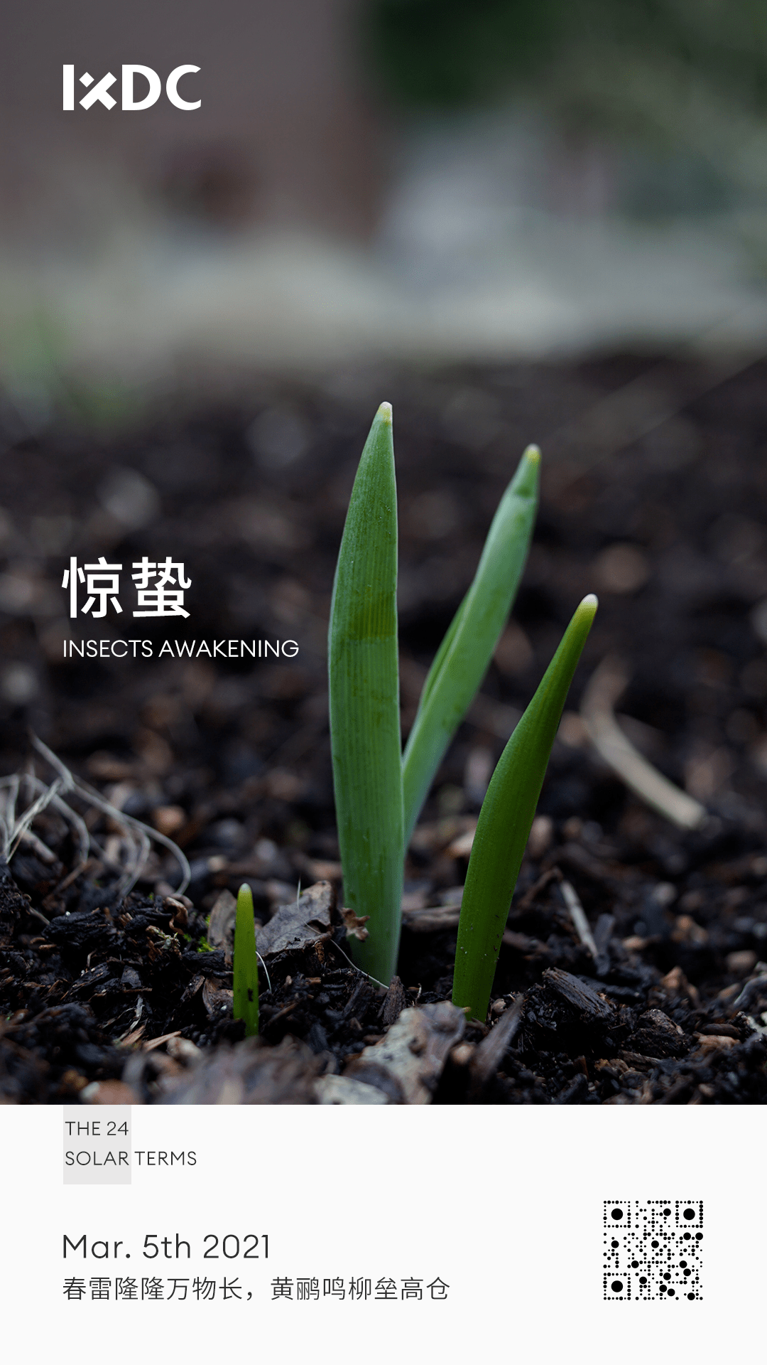 惊蛰 | 春雷惊蛰,一扫阴霾