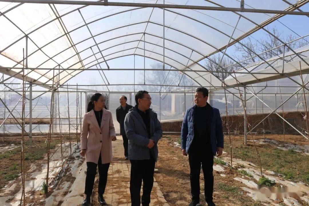 陕州区领导吴自力到张汴调研项目建设情况_张汴乡