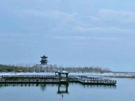 河北沧州：春雪中的南大港湿地