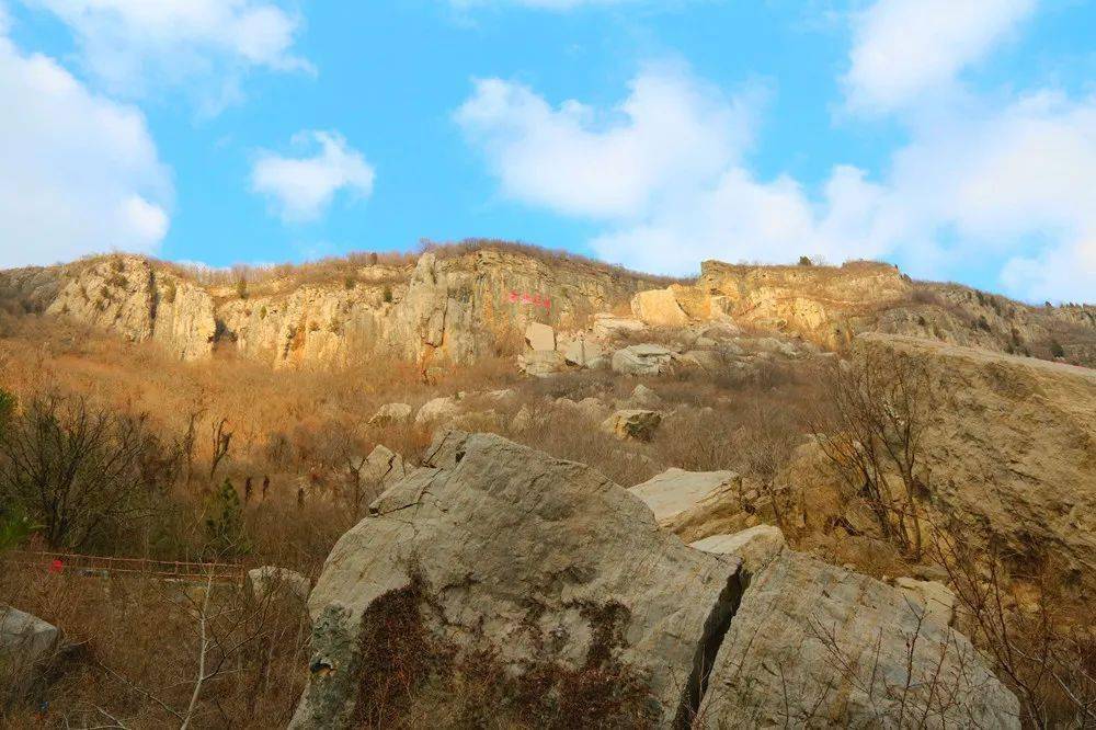 春游枣庄 | 三月女神节!我和你有个约惠