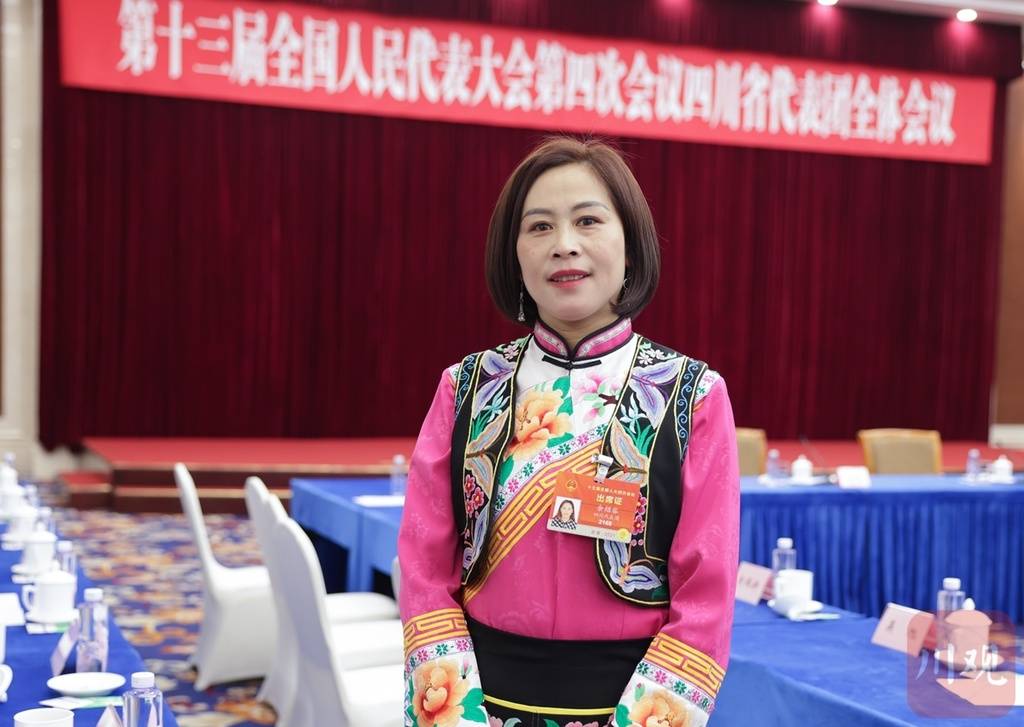 四川代表团审议政府工作报告趁势开启新征程奋进续写新辉煌