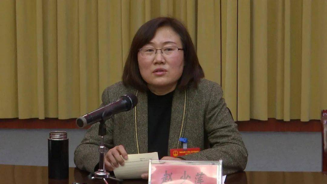 书记县长参加代表团讨论时强调