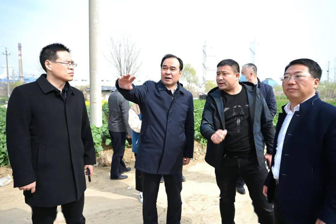 赵洪涛专题推进南部片区环境整治提升工作