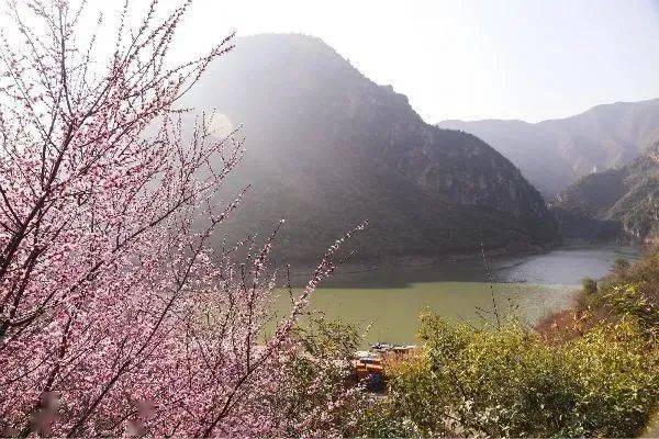 袁家村一日游人均消费_消费图片(3)