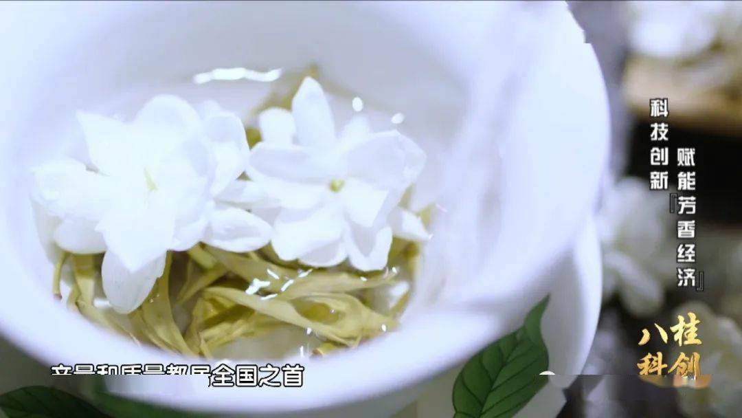 茉莉花茶哪个品种喝起来比较香 ef1dc9f8d5184bfca0b35766d84bde7f.jpeg