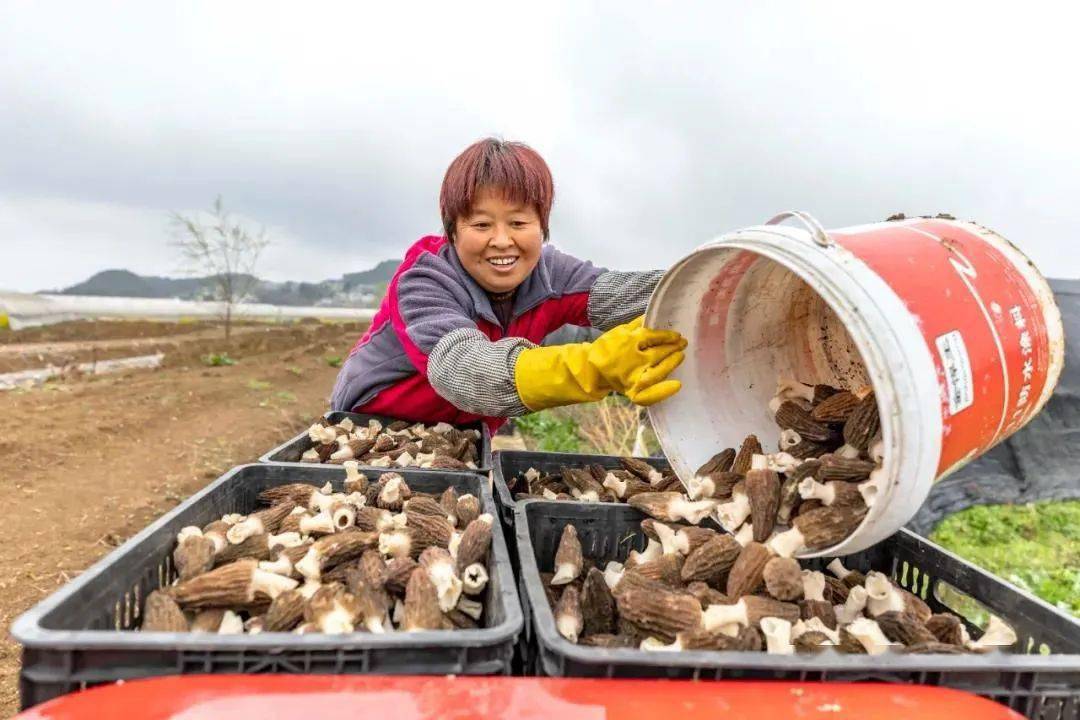 围场县各乡镇经济总量_河北围场县第一美女