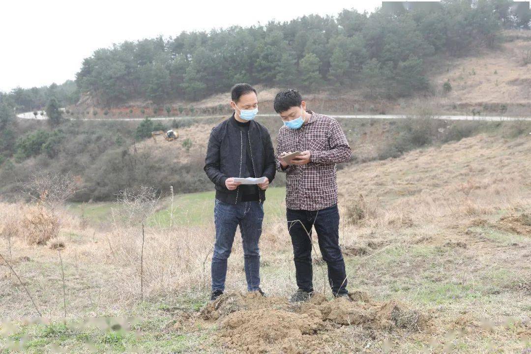 走基层 抢抓春时造林忙 荒山