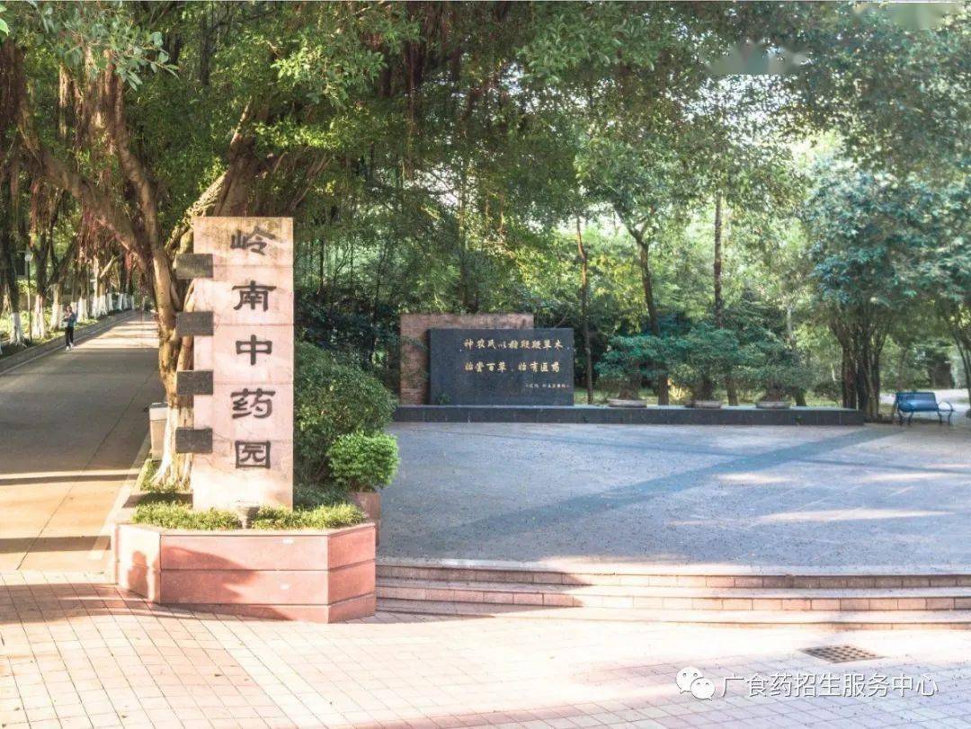 文章配图-5