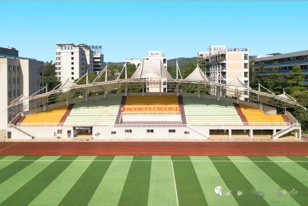 文章配图-3