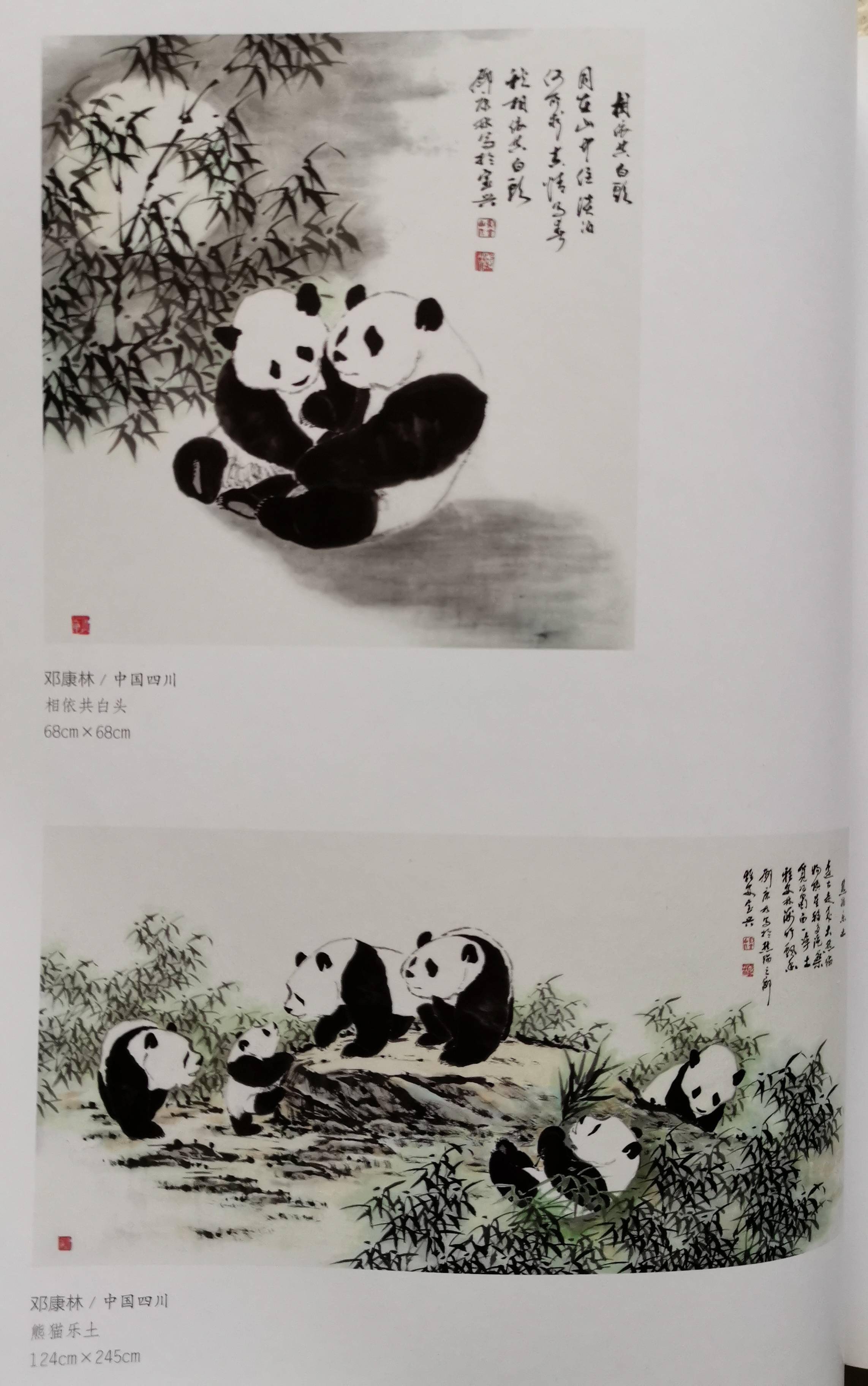 書畫藝術作品賞析大熊貓棲居地百米水墨長卷群貓彙集展風采