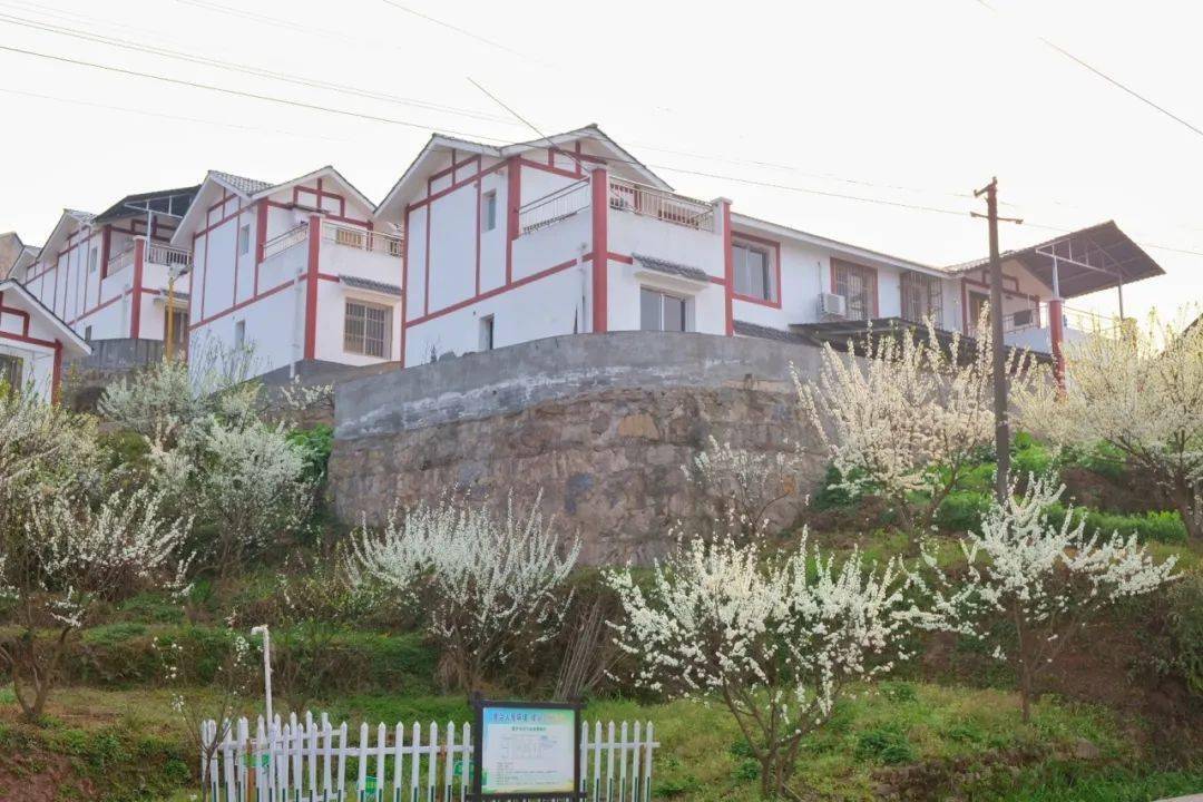 正是赏花好时节箭板古镇邀您来打卡