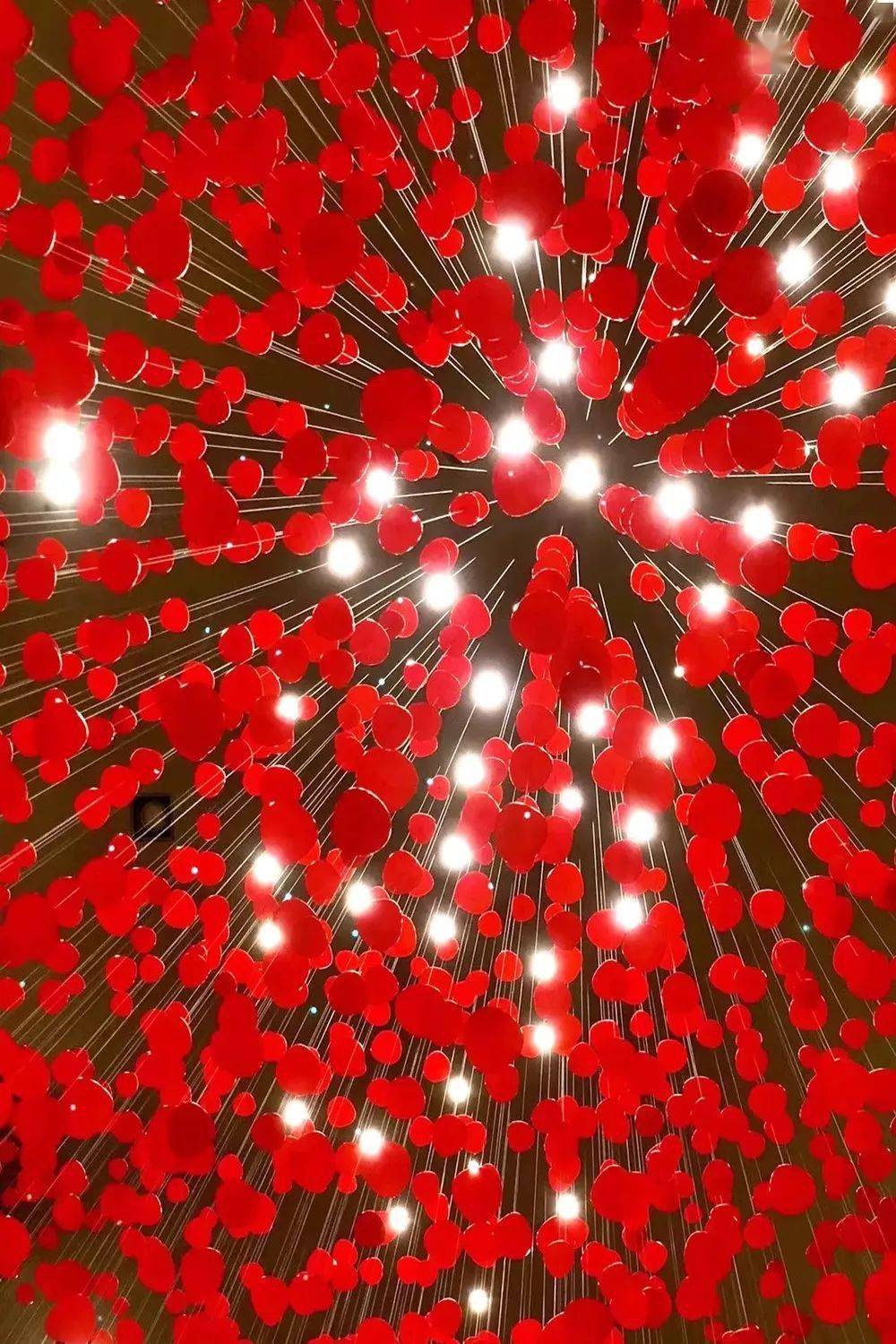 租吸氧机怎么收费¥699起睡云端凯悦酒店，打卡上海最美图书馆&网红剧院！_https://www.jmylbn.com_新闻资讯_第38张