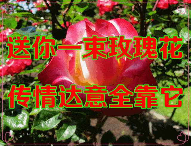 今日三八节67一首知心爱人送给天下最美的女人特意点播了一曲好听的