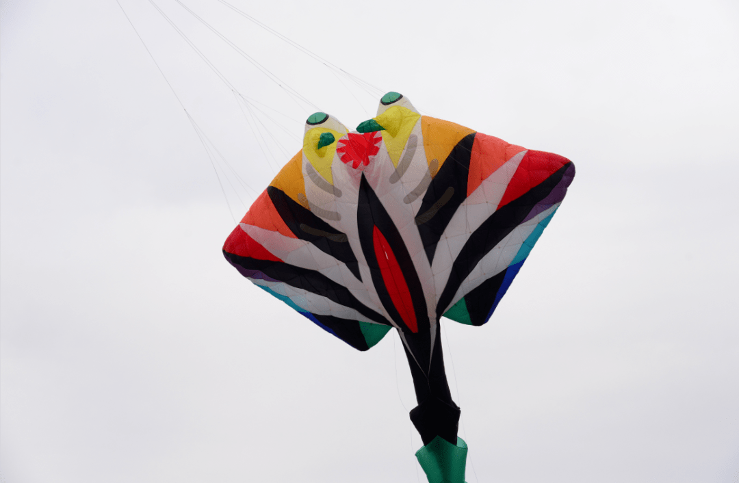 金堂约你放风筝啦走起去看看全国最大太阳神鸟风筝