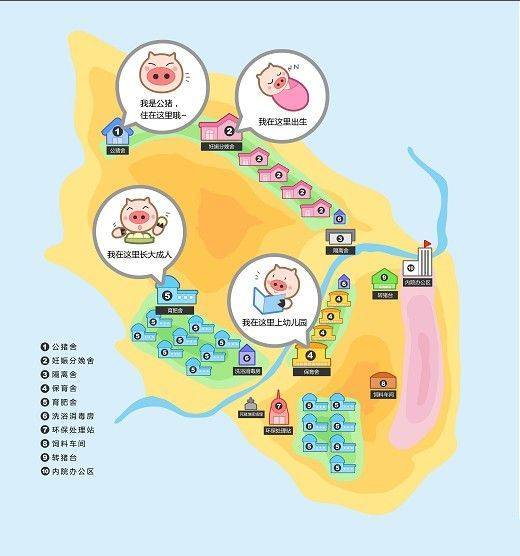 网易,京东数科,华为|互联网大厂养猪专利谁家强？阿里关心母猪生产，网易充满“猪性关怀”，但京东更强