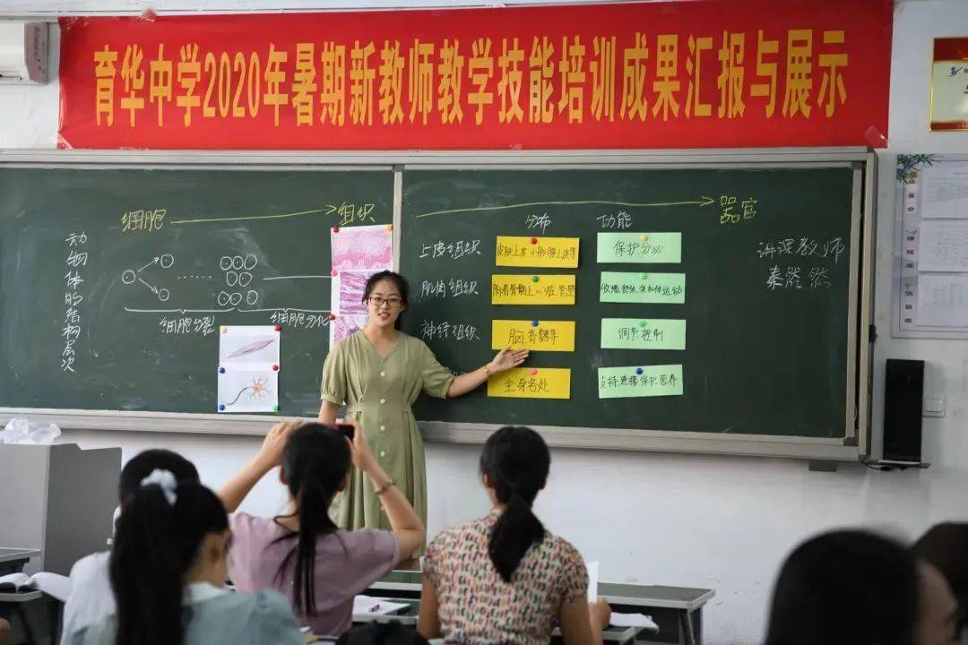 邯郸市教师招聘_石家庄创新国际学校 邯郸市新曙光东风小学招聘(2)