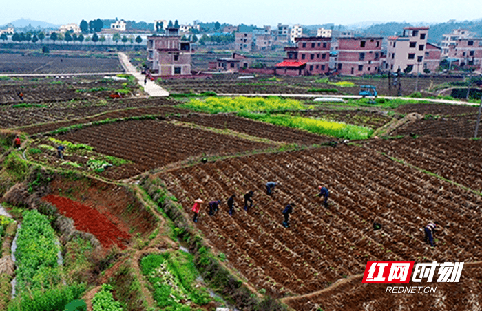 禹州市花石镇白北村人口_北村一辉(3)